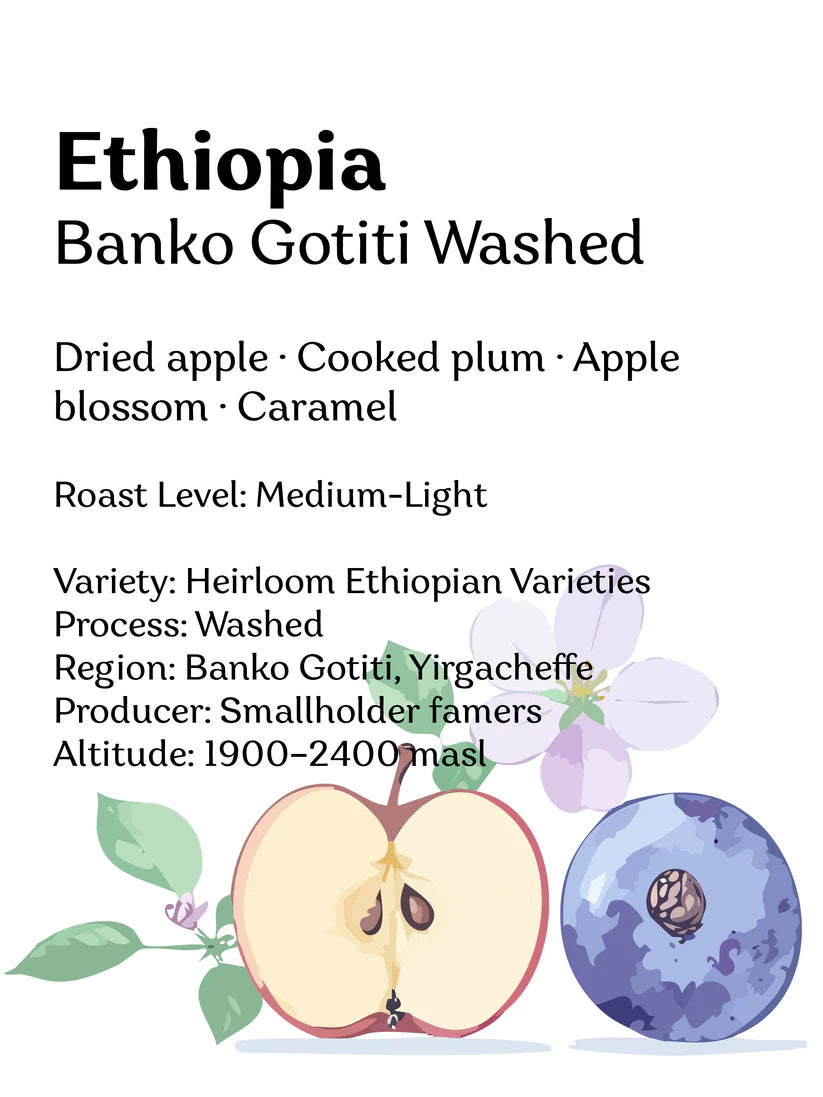 WADI - Ethiopia Banko Gotiti - Washed Whole Bean Coffee