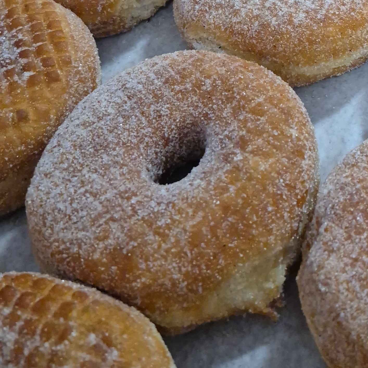 Donut bun upgrade